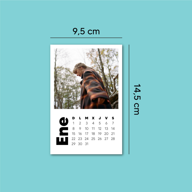 Calendario Taylor Swift Evermore Stick to Arte