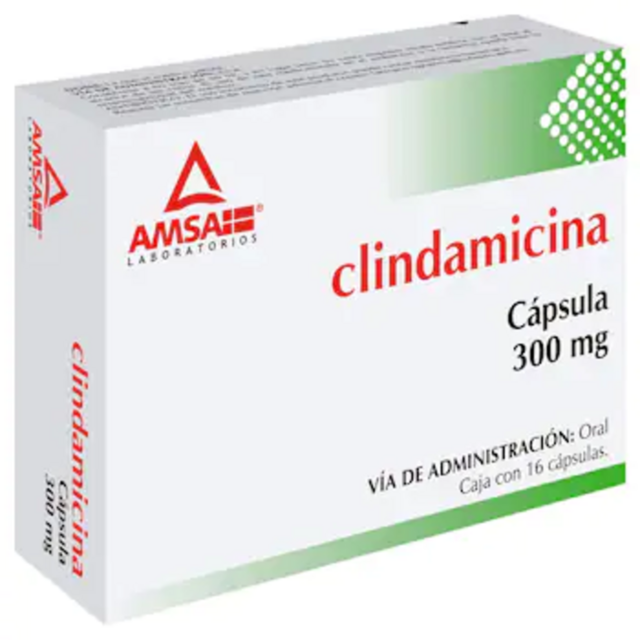 CLINDAMICINA 300MG CAP C/16 *ANT* - Grupo Farma Medical