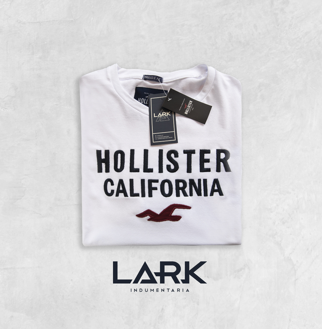 Remeras hollister hombre por mayor shop