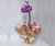 Orquídea na Tela S6231