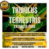 TRIBULUS TERRESTRIS extracto puro 50grs