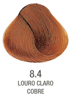 Tinta Alfaparf Evolution 8.4 Louro Claro Cobre - comprar online