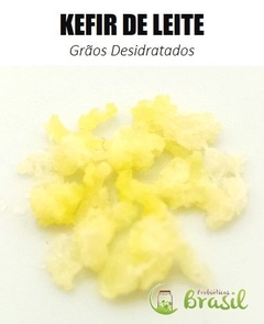 KEFIRKIT LEITE - Kit Completo de Kefir de Leite - comprar online