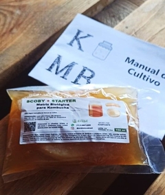 KOMBUKIT - Kit Completo Fermentação de Kombucha na internet