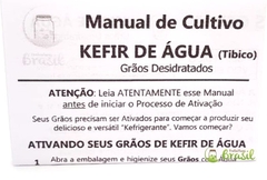 KEFIRKIT ÁGUA - Kit Completo de Kefir de Água na internet