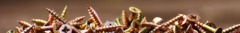 Banner da categoria FIXAÇÃO