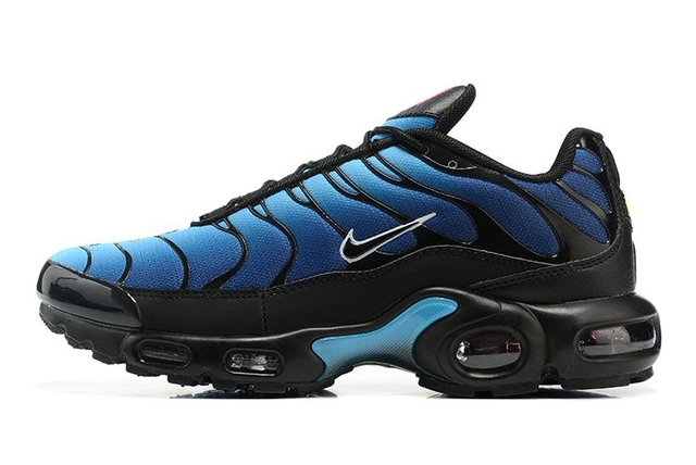 Blue nike on sale air max tn
