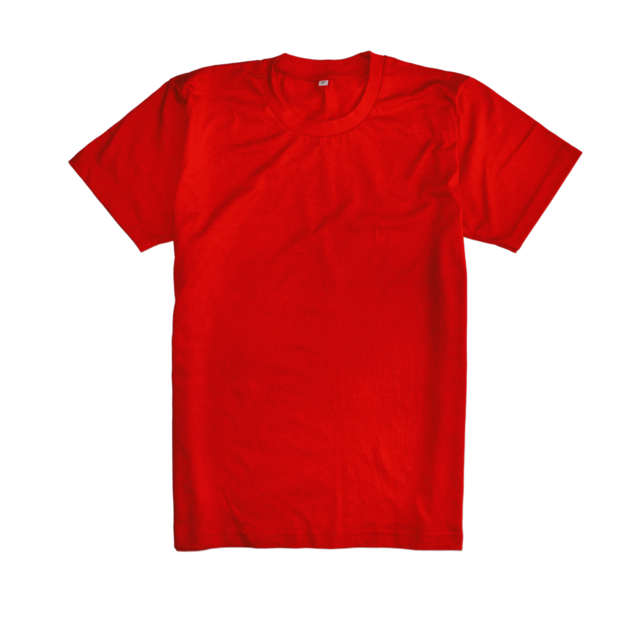 REMERA ALGODON