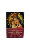 Livro Tratado da Verdadeira Devoção à Santíssima Virgem Maria - Grande - Padre Reus