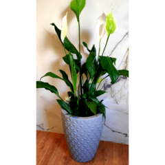 Vaso Para Plantas Polietileno Decorativo Redondo Grande N3 - Arte Decore
