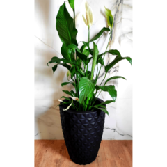 Vaso Para Plantas Polietileno Decorativo Redondo Grande N3 - loja online