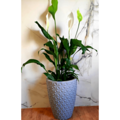 Vaso Para Plantas Polietileno Decorativo Redondo Grande N3 na internet