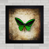 QUADRO DECORATIVO ANIMAIS 6 - BORBOLETA