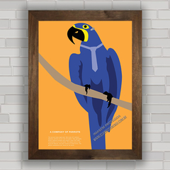 QUADRO DECORATIVO ANIMAIS 71 - PAPAGAIO