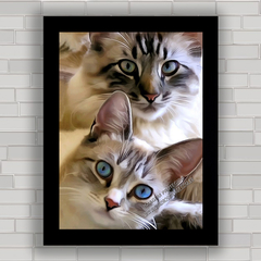 QUADRO DECORATIVO GATOS 84 - comprar online