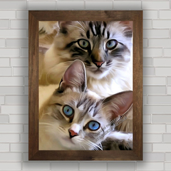 QUADRO DECORATIVO GATOS 84