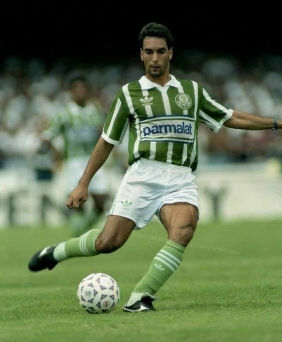 Camisa Palmeiras Retrô I 92/93 Torcedor Adidas Masculina - Verde