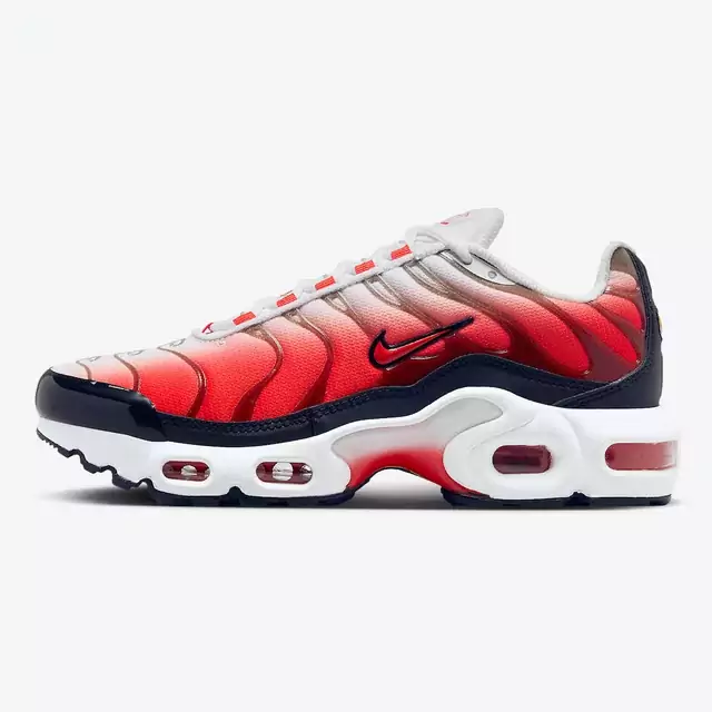 Air Max TN Plus Fire Fade