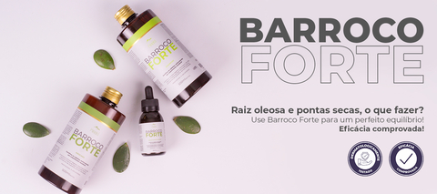 Carrusel Barroco Mineiro Profissional