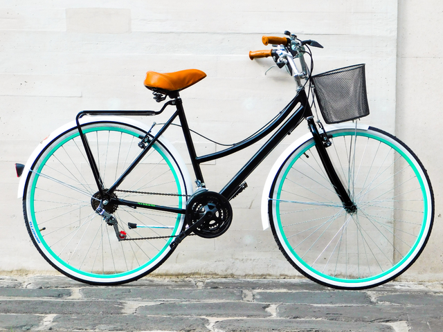 Bicicletas vintage para mujer hot sale