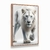 Quadro Decorativo Leão Branco na internet