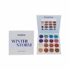 PALETA DE SOMBRAS WINTER STORM RUBY ROSE