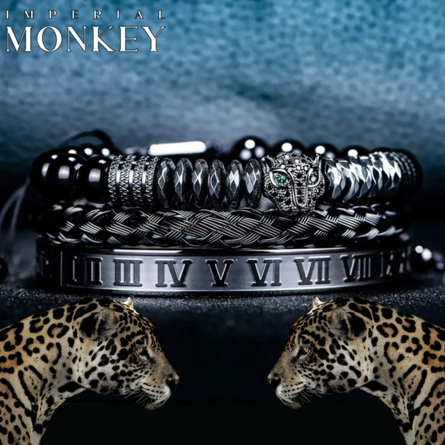 Set 3 pzas. Pulsera y brazaletes tema jaguar con zirconias cuentas de hematita y piedra ojo de tigre. negro humo