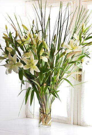A113 - Importante arreglo con Lilium