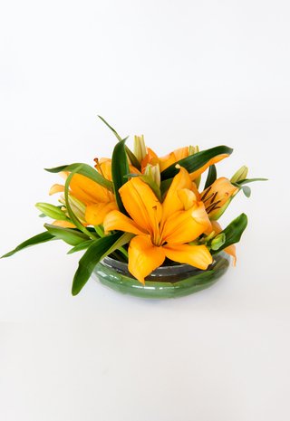 C6 - lilium