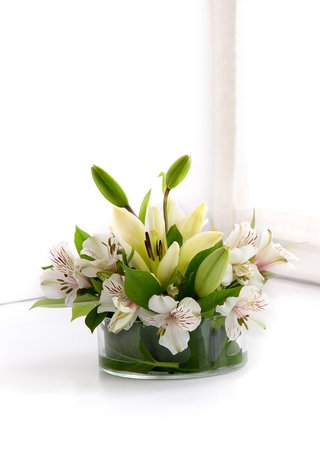 C1-lilium y alstromerias