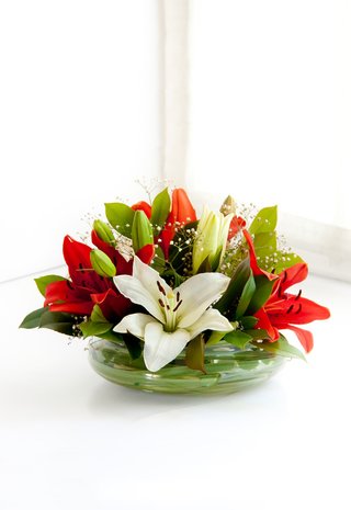 C4 - lilium en 2 tonos