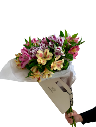R106 - altroemerias en varios tonos