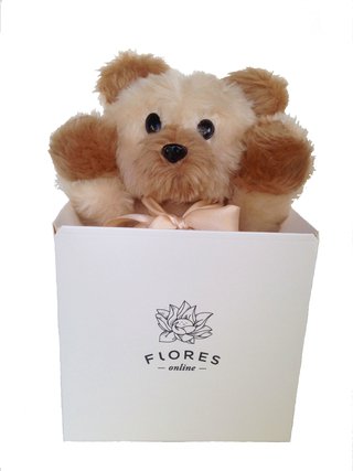 osito de peluche