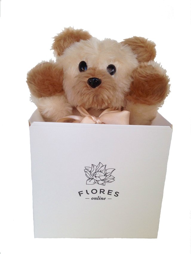 osito de peluche osito de peluche