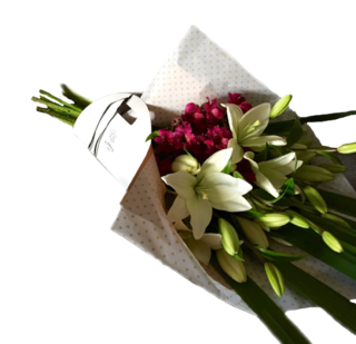 R102 - lilium y Alstroemerias