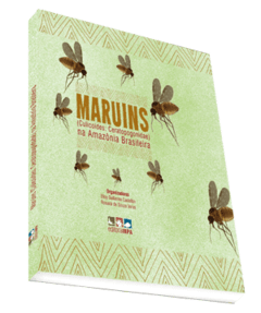 Maruins ( Culicoides: Ceratopogonidae) na Amazônia Brasileira.