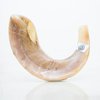 Shofar de Carnero de 35 a 40 cm C3