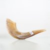 Shofar de Carnero de 30 D2