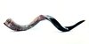 Shofar Antilope xlarge de 95 a 105 Cm De Largo +manual de uso