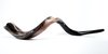 Shofar Large 96 Cm De Largo + Llavero+funda