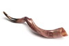 Shofar de Antílope/Yemenita de 88 a 95 cm Large