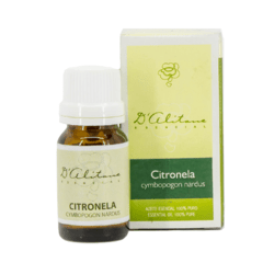 Citronela (cymbopogon nardus) - comprar online