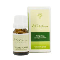 Ylang-Ylang (Cananga Odorata) - comprar online