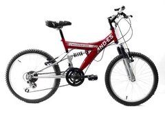 Bicicleta And-es Mtb Rodado 20 Niño Doble Suspension 12 Vel - comprar online