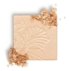 Wet N Wild Highlighting Iluminador Golden Flower Crown - comprar online