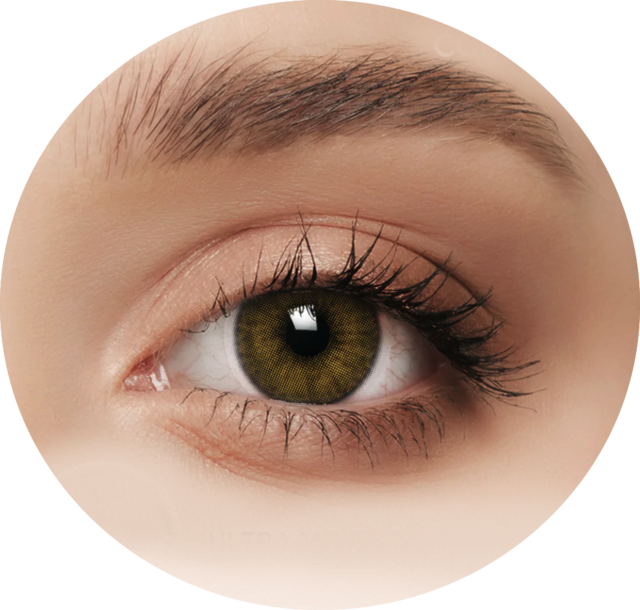 Lentes de sales contacto siesta concept