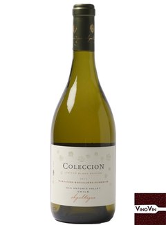 Vinho Apaltagua Coleccion Blanc 2016 – 750 ml