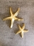 Estrella dorada - grande - Hugga - buy online