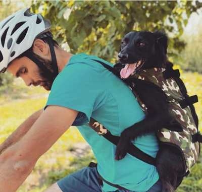 Mochila para perros 20 kg hotsell