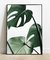 Cuadro Monstera Leaf - comprar online